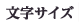 文字サイズ