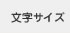 文字サイズ