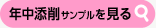 年中添削サンプルを見る