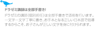 ドラゼミ講師は全部手書き!ドラゼミの講師(個別担任)は全部手書きで添削を行います。一文字一文字丁寧に書き、お手本となる正しい日本語で指導するからこそ、お子さんが正しい文字を身に付けられます。