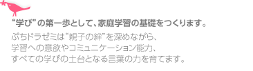 “学び”の第一歩として、家庭学習の基礎をつくります。
ドラゼミは“親子の絆”を深めながら、学習への意欲やコミュニケーション能力、
すべての学びの土台となる言葉の力を育てます。