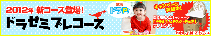ドラゼミプレコース