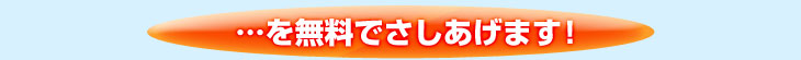 以上を無料でさしあげます!