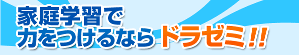 家庭学習で力をつけるならドラゼミ!!