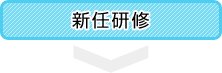 新任研修