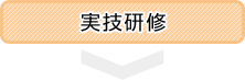 実技研修