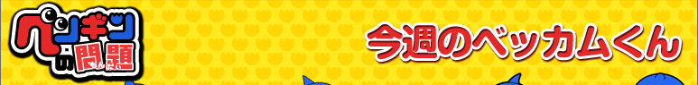 ���T�̃x�b�J������