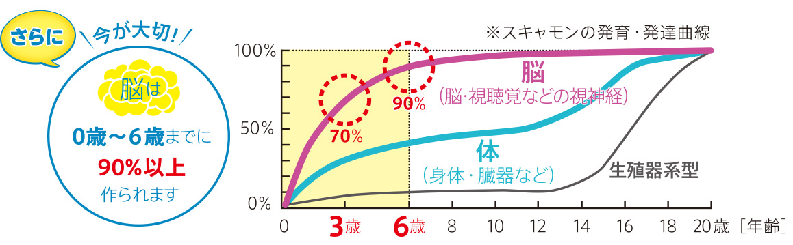 さらに今が大切!脳は0歳~6歳までに90%以上作られます