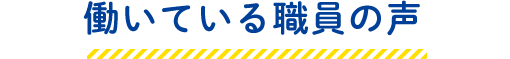 働いている職員の声