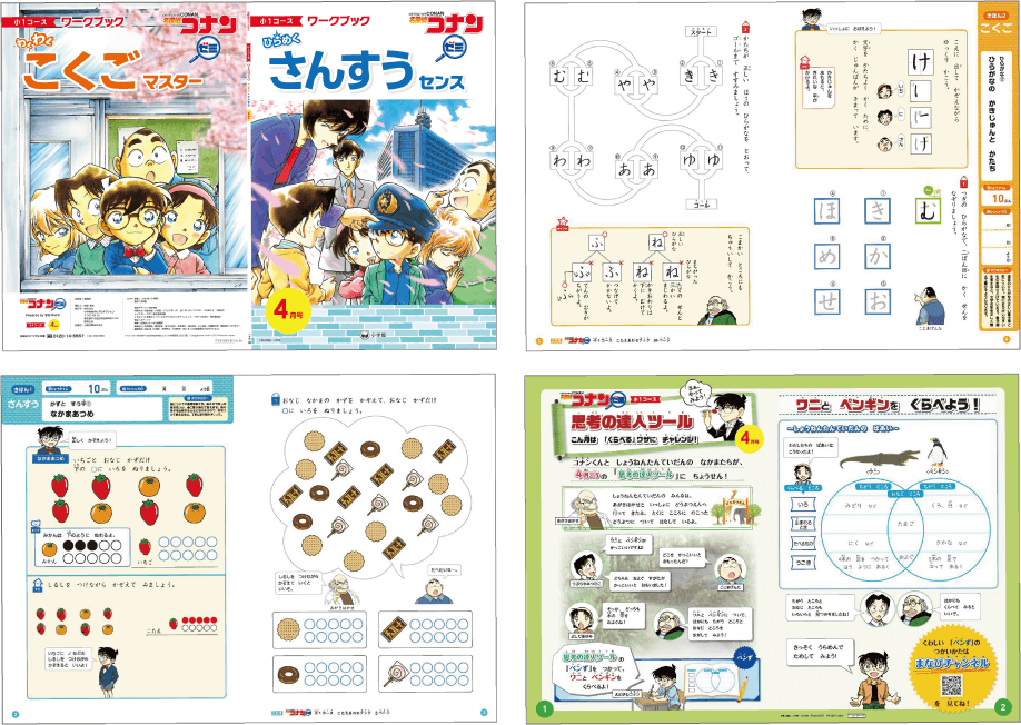 Detective Conan Zemi textbook