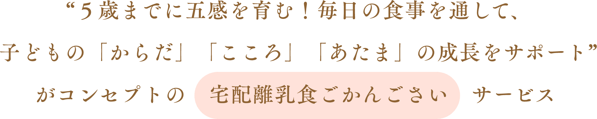 “5歳までに五感を育む！毎日の食事を通して、子どもの「からだ」「こころ」「あたま」の成長をサポート”がコンセプトの宅配離乳食ごかんごさいサービス